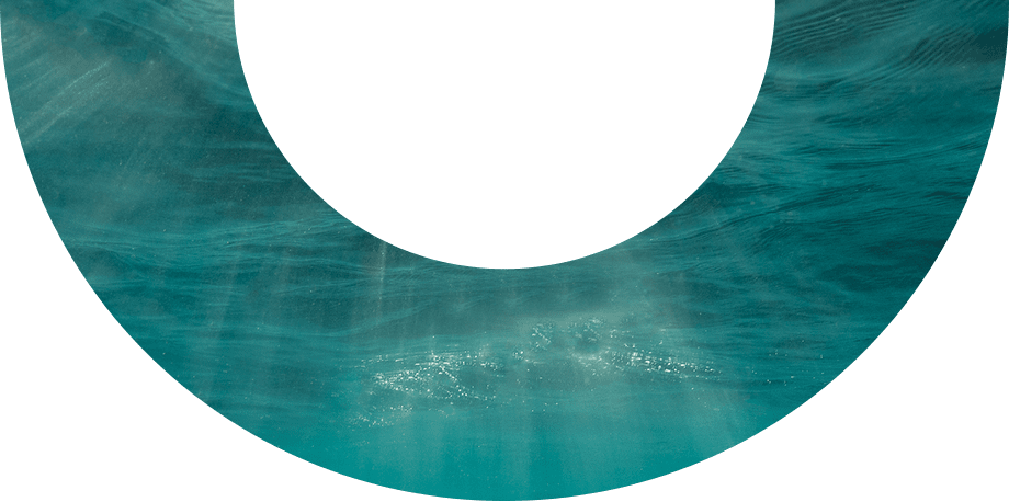 Z6ʱйٷվ